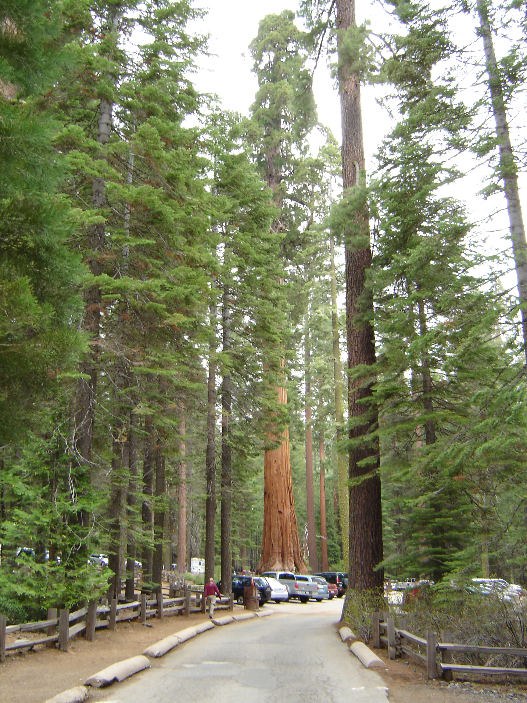 DSC01622