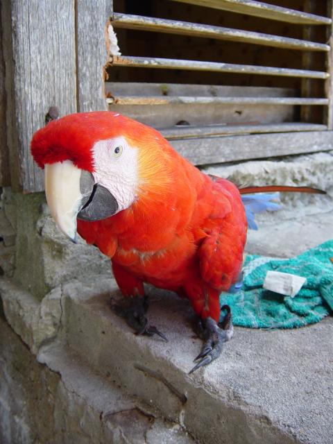 DSC00847