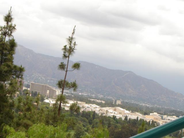 DSC01510