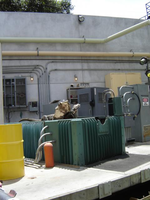 DSC01519